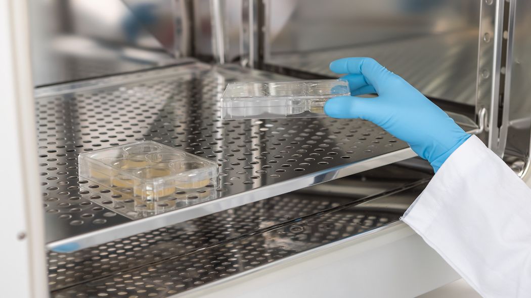 Protein Terapisi Geliştirme için Güçlü Bir Temel: Yeni Nesil Genetik Olarak Tasarlanmış CHO Hücre Hattı
